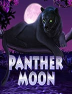 ufabet เกมส์บาคาร่า ทดสอบโชคกับเกมสุดมัน